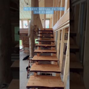 Rough cut Hemlock stairs are in!  #homesteading #loghome #homesteadingfamily #stairs #housedesign