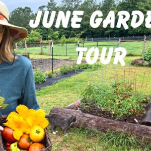 Early June Garden Tour