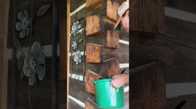 Preserving a log home:  linseed oil and mineral spirits